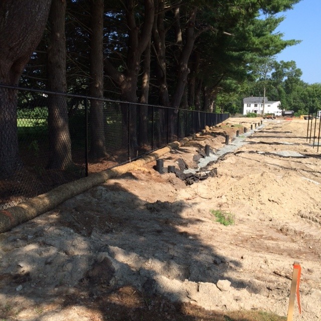 Construction and development vegetation management project photo 3