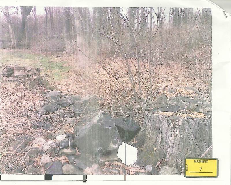 Forestry and open space management project photo 1