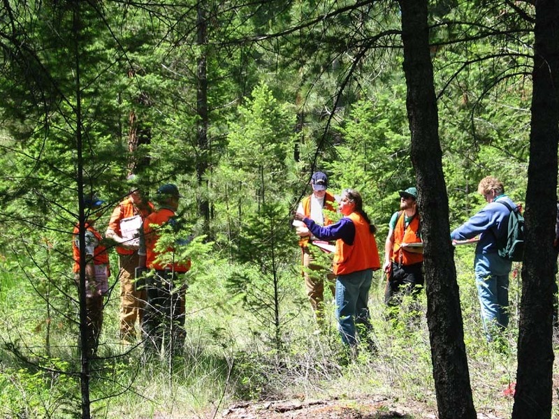 Forestry and open space management project photo 2