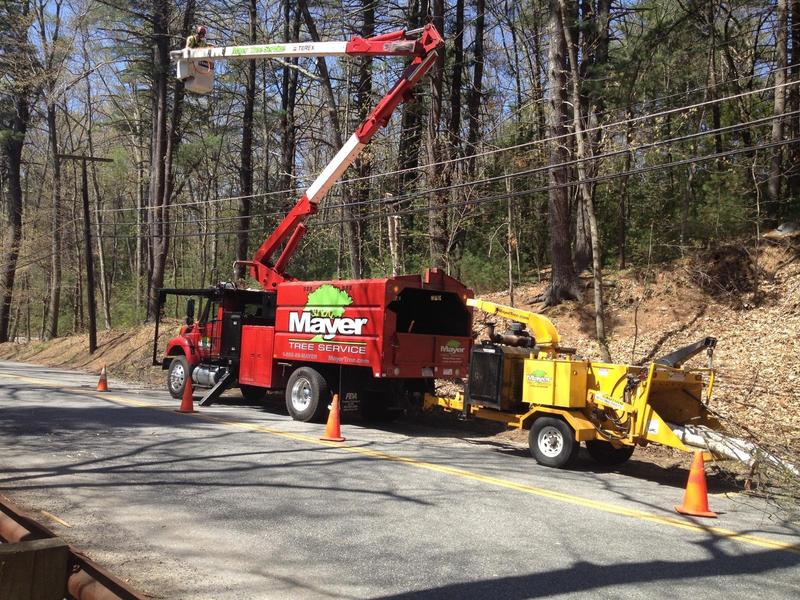 Utility vegetation management project photo 1