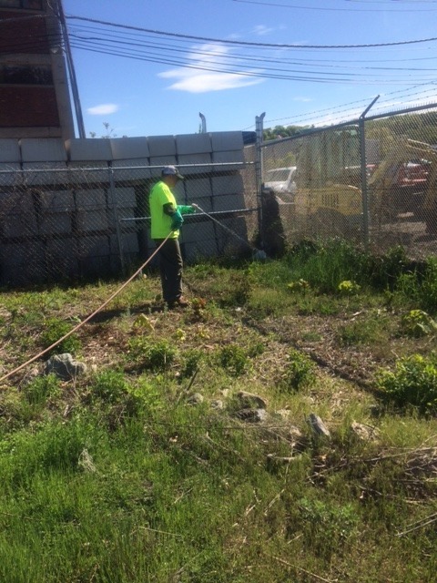 Utility vegetation management project photo 2
