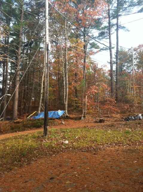 Utility vegetation litigation site analysis